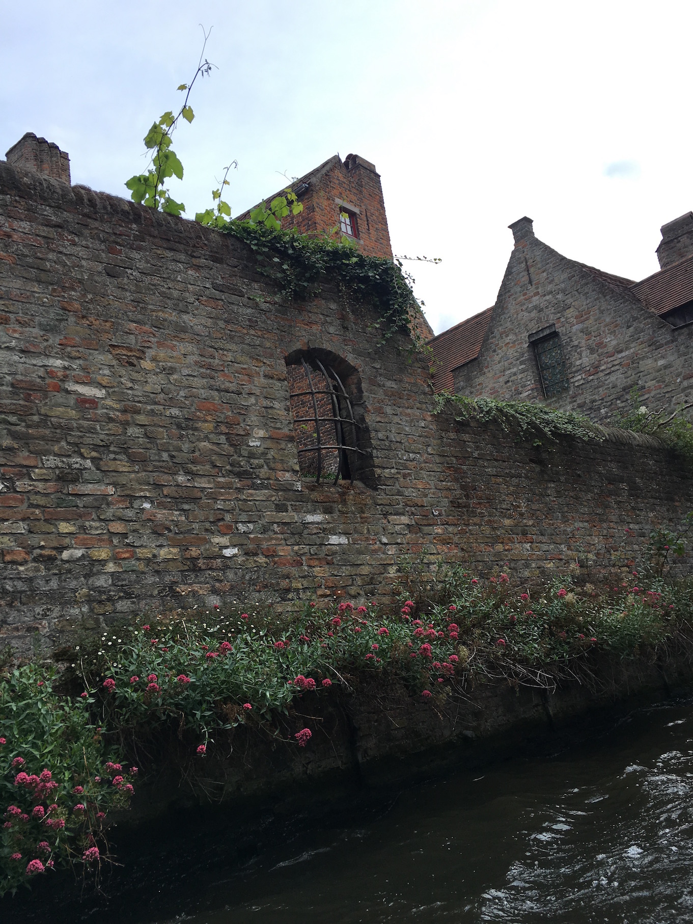 View from the boat in Bruges